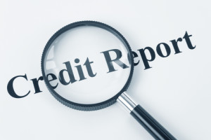 WLG-creditreport