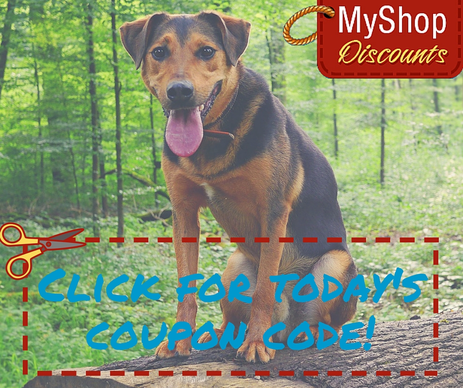 MyShop coupon template dog